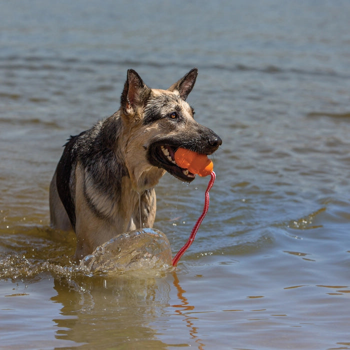 Kong-Aqua Natural Rubber Toy (large)