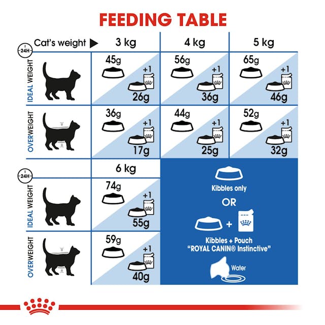 Royal Canin-Home Life Indoor 27 Dry Cat Food