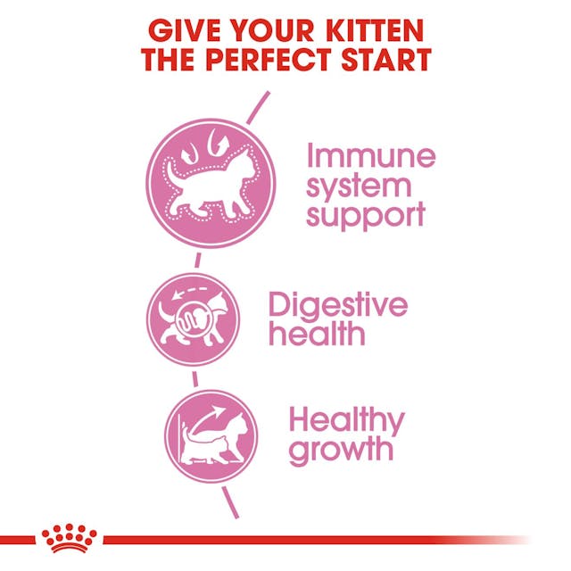 Royal Canin - Kitten Dry Food for Kittens Upto 12 months