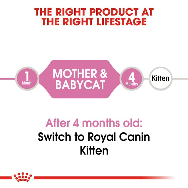 Royal Canin - Mother and Baby Cat Specific needs of Growing Baby Kittens