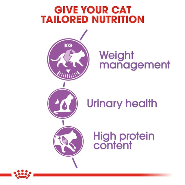 Royal Canin- Sterilised Dry Adult Cat Food Meat Flavor