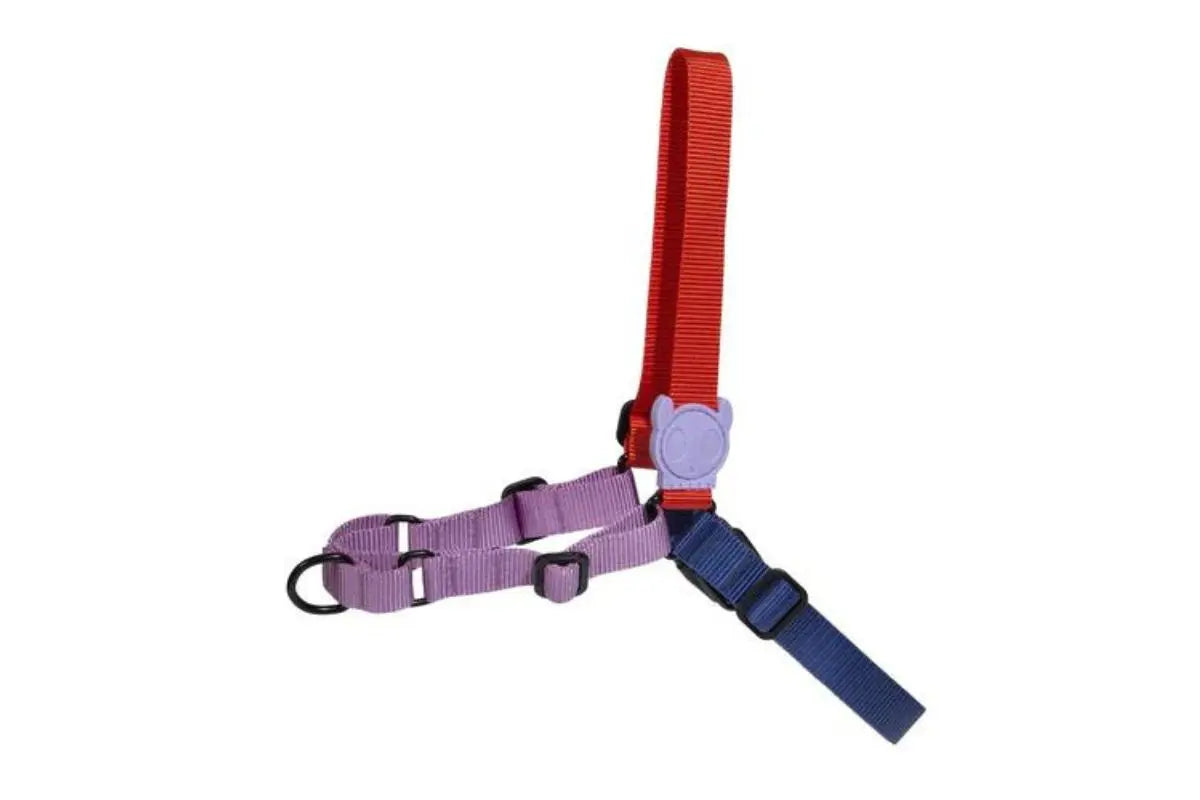 Zee Dog - Softwalk Harness