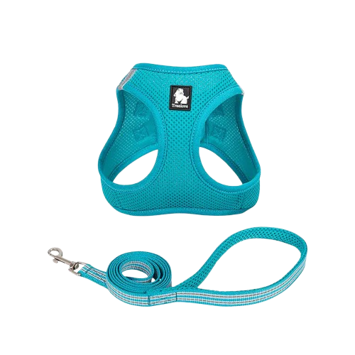 Truelove Mesh Harness & Leash Set for Cats and Small to Medium Dogs