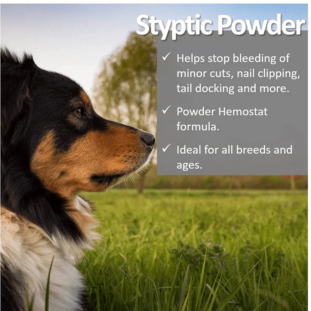 Bio-Groom Sure Clot Fast Acting Styptic Powder for Dogs