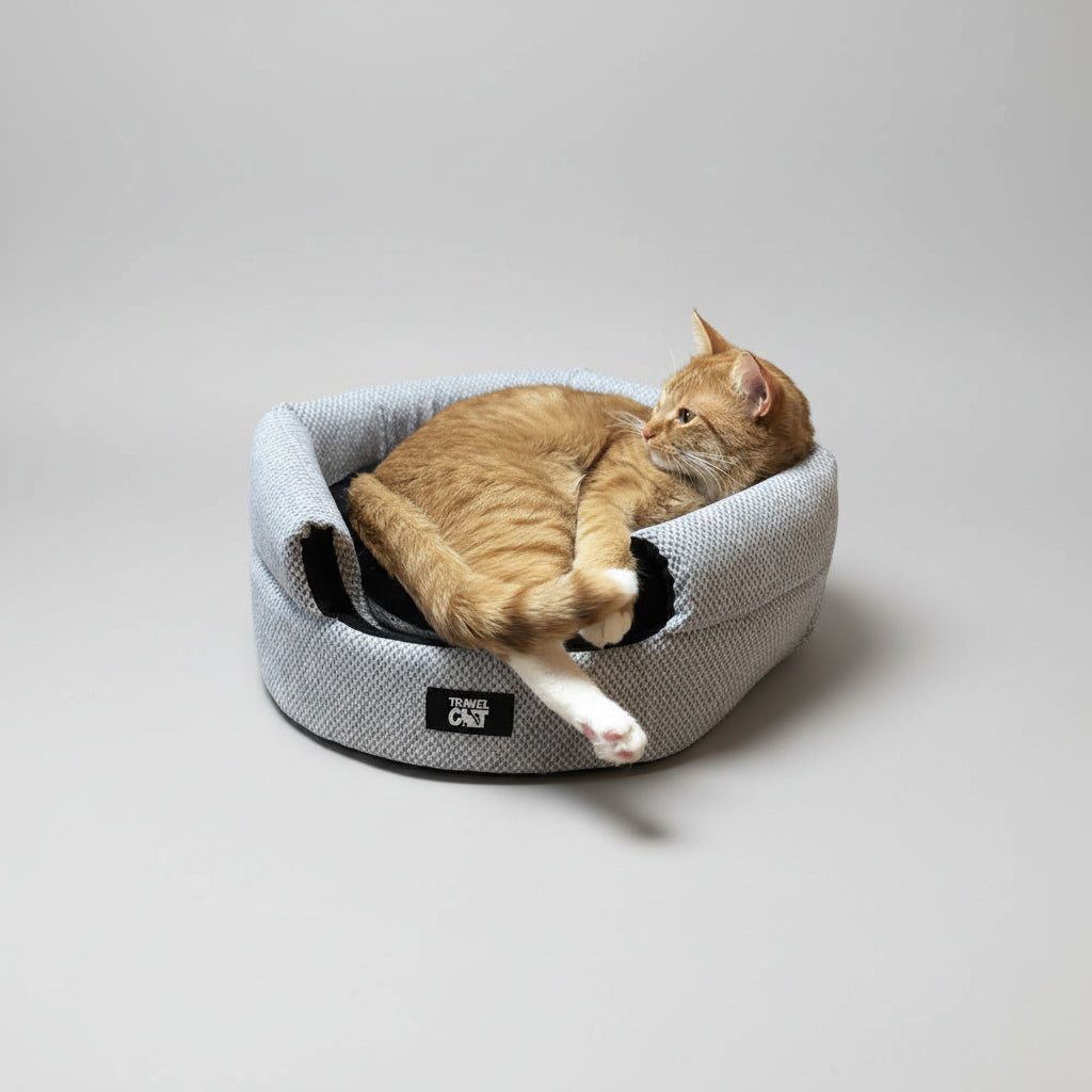 Story Tails Convertible Cat House