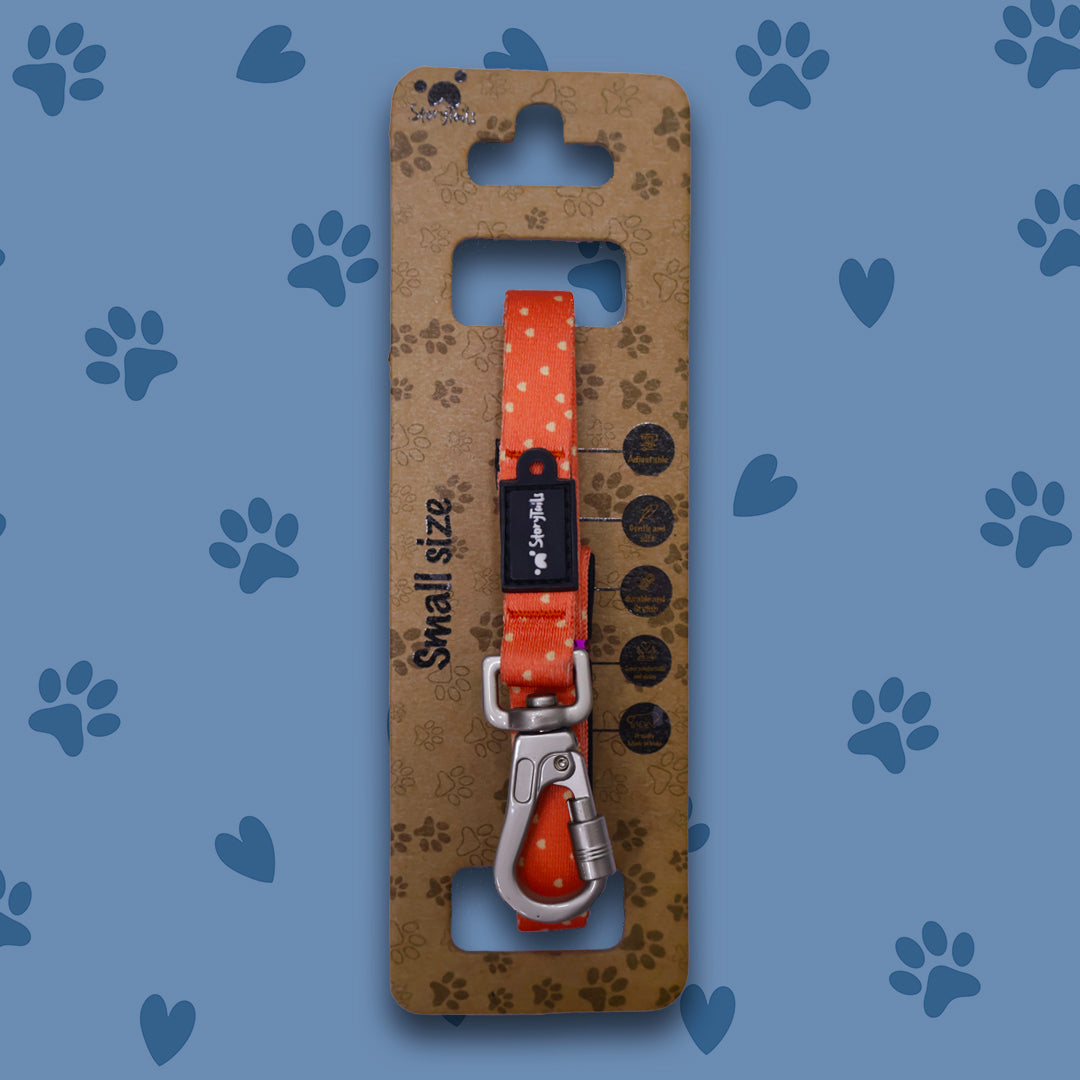 Story Tails-New Digital Series Leash