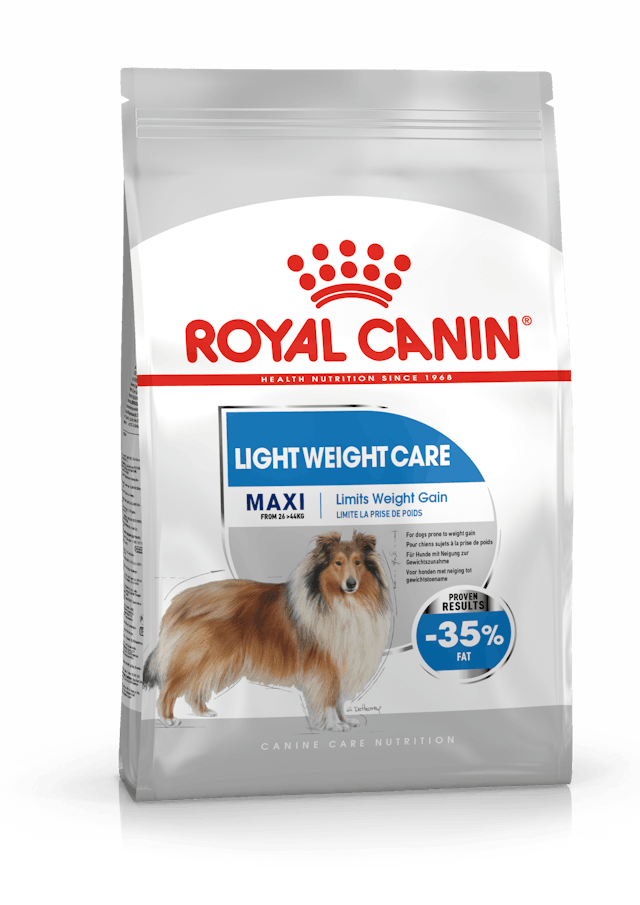 Royal Canine-Maxi Dry Adult Dog Food