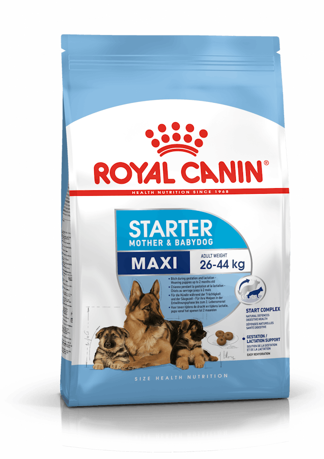 Royal Canin - Maxi Starter Dry Food For Dogs