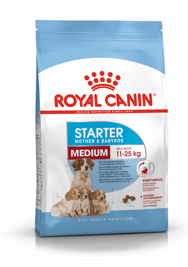 Royal Canin - Medium Starter Dry food for dogs