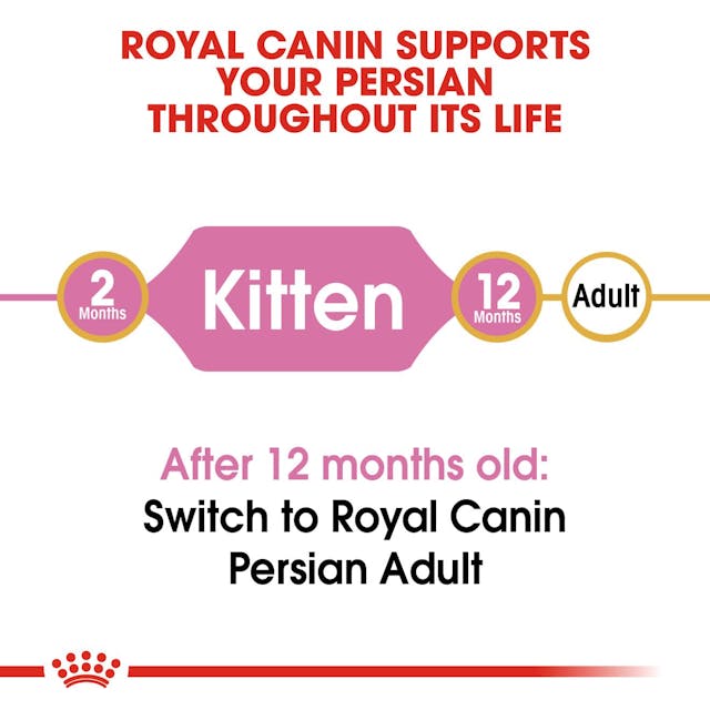 Royal Canin - Persian Kitten Specially made for pure Breed Persian Kittens