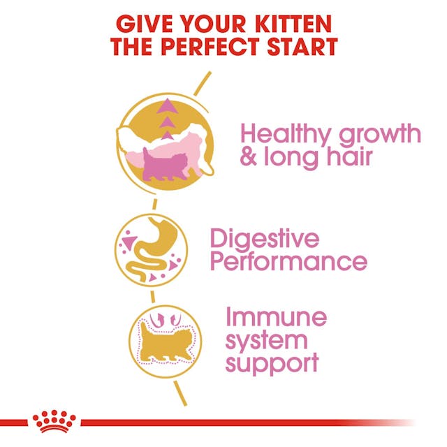 Royal Canin - Persian Kitten Specially made for pure Breed Persian Kittens