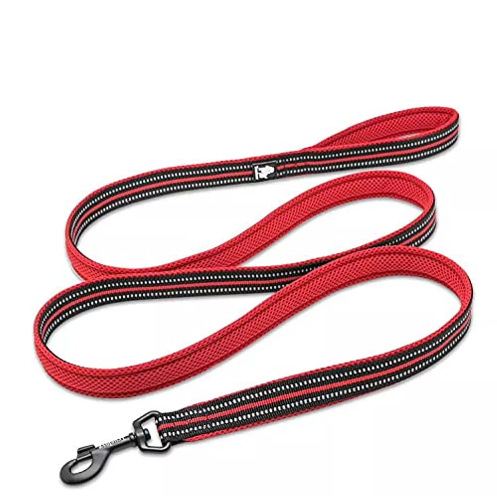 True Love - Classic Leashes for Dogs