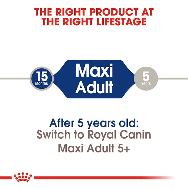 Royal Canin - Maxi Adult  for Adult Large Breed Dogs