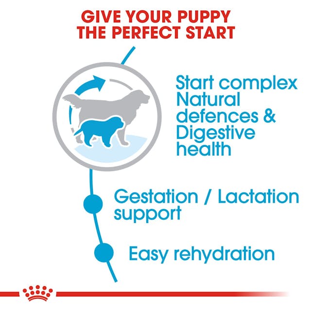 Royal Canin - Giant Starter Dry Food for Mother and Baby Dogs