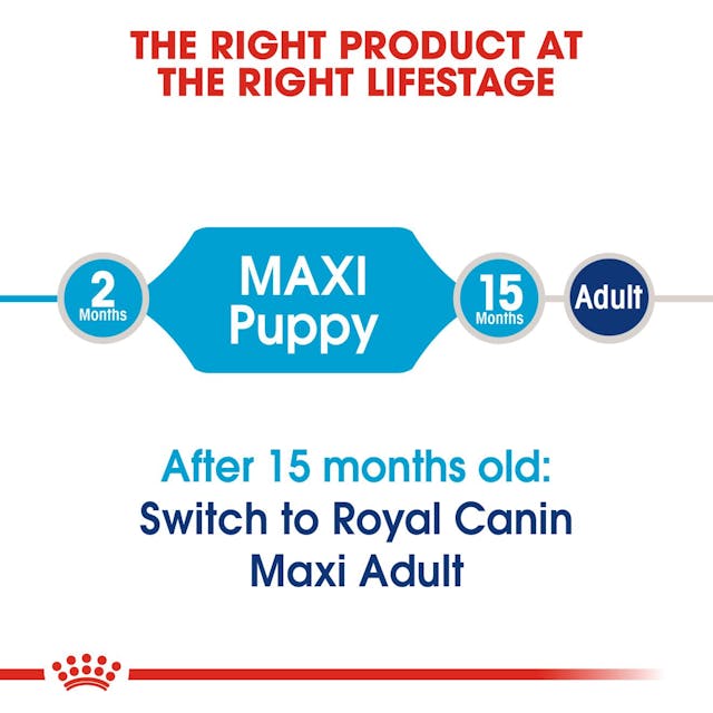 Royal Canin - Maxi Puppy for Puppies of Maxi Breeds