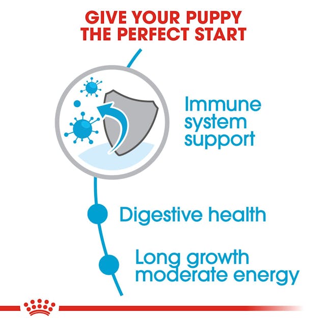 Royal Canin - Maxi Puppy for Puppies of Maxi Breeds