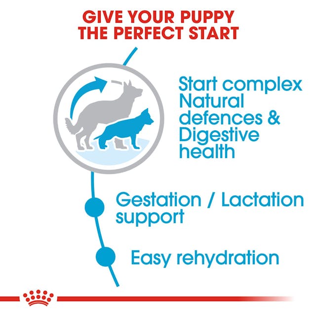 Royal Canin - Maxi Starter Dry Food For Dogs