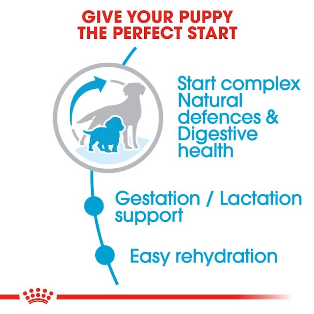 Royal Canin - Medium Starter Dry food for dogs