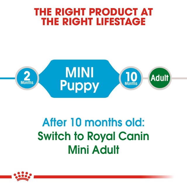 Royal Canin- Mini Puppy Dry Dog Food