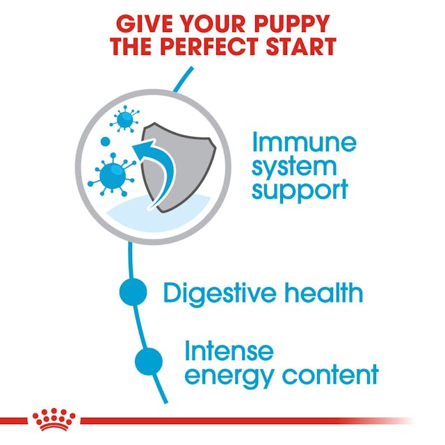 Royal Canin- Mini Puppy Dry Dog Food