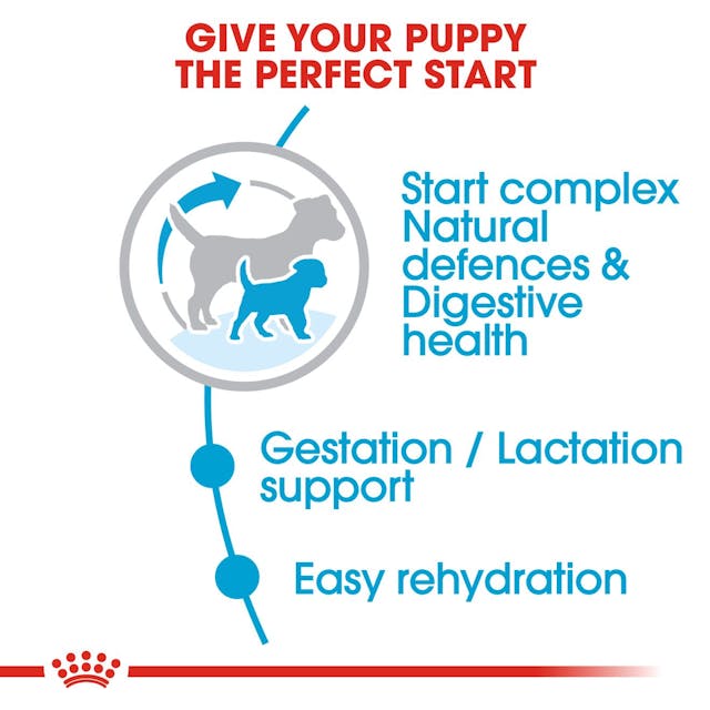 Royal Canin - Mini Starter Food for Mother & Baby Dogs