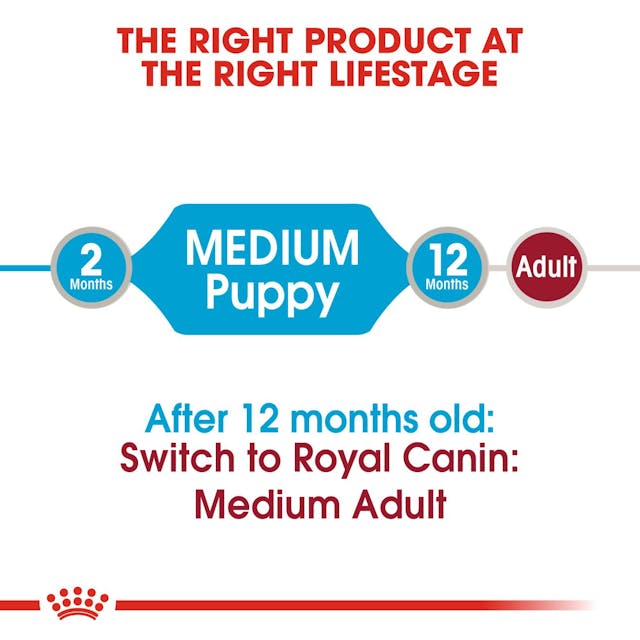 Royal Canin- Medium Puppy Dog Wet Food