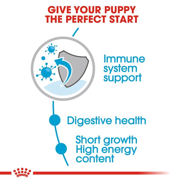 Royal Canin- Medium Puppy Dog Wet Food