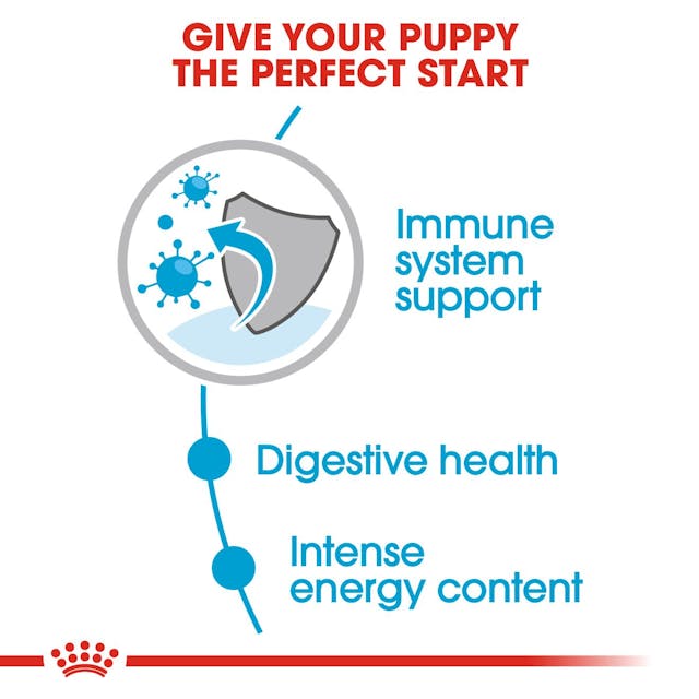 Royal Canin-Mini Puppy Gravy Dog Wet Food