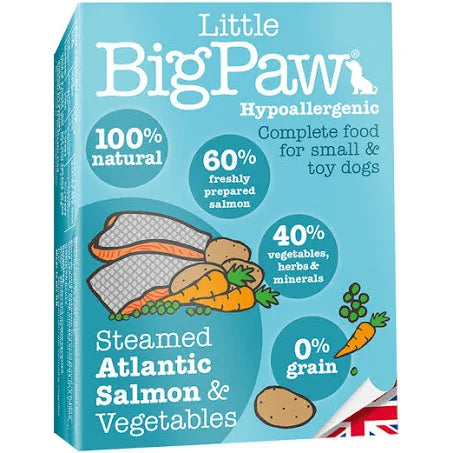 Little Big  Paw - Salmon & Vegetable Terrine