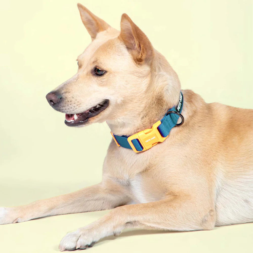 Pets Way Classic Padded Collars For Dogs