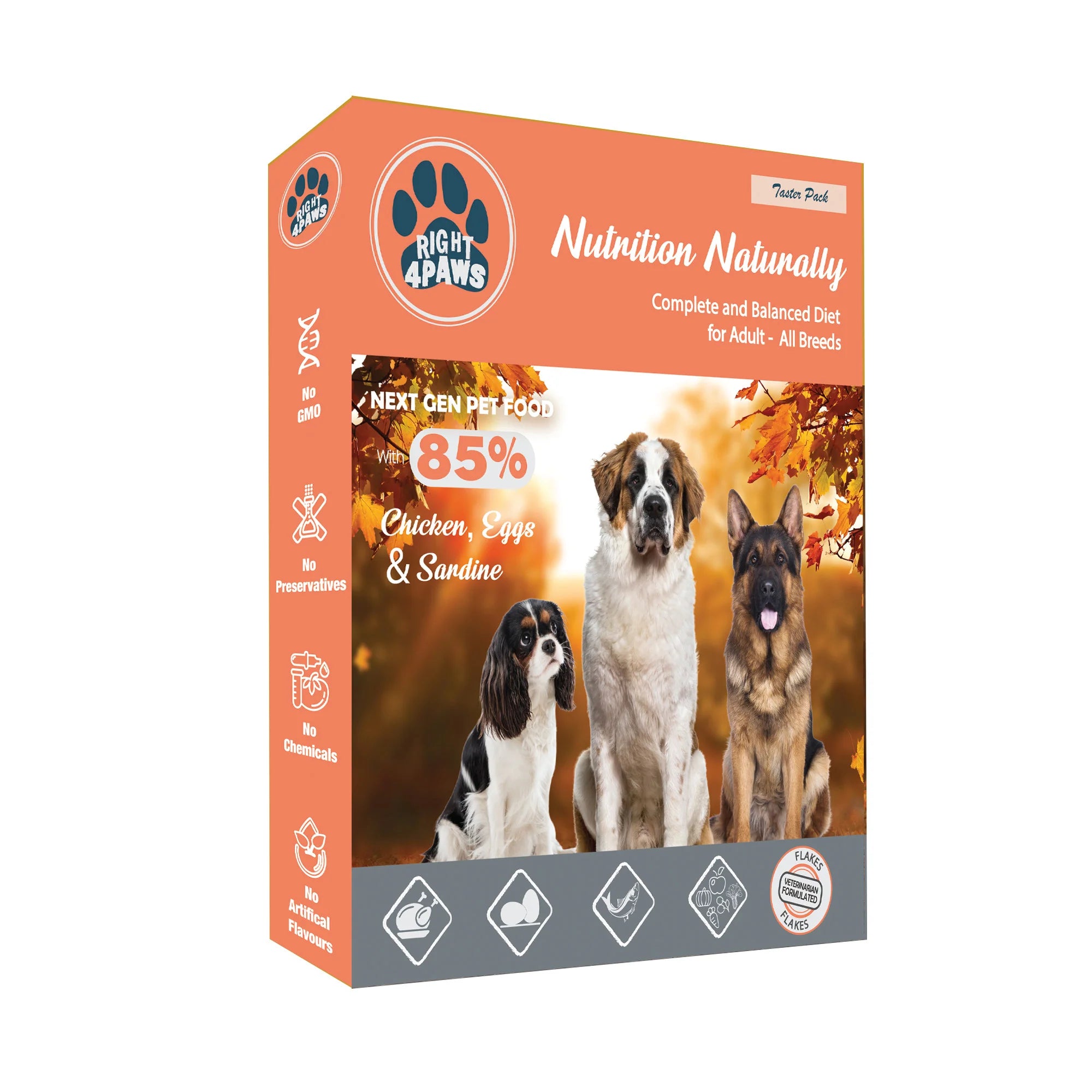 R4p- Taster Dry Food Pack for Adult Dog