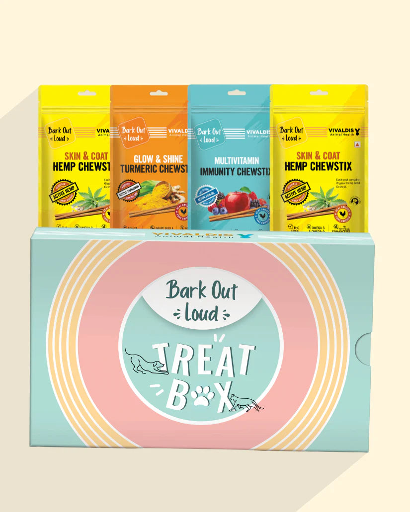 Bark Out Loud-Treat Box - Perfect Gift for Dogs & Cats (4 Delicious Treats)