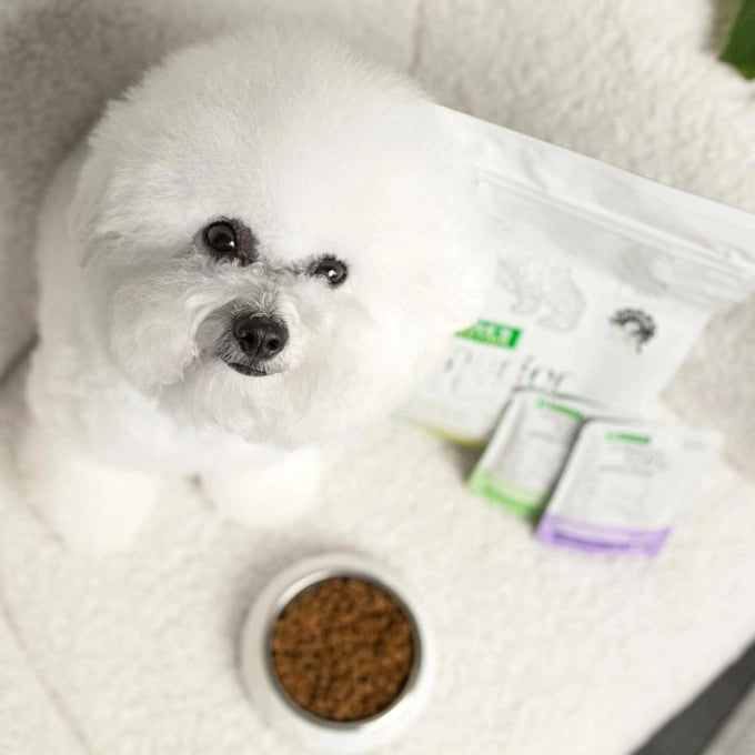 Nature’s Protection Superior Care White Dogs Grain Free with Insect Adult Small Breed Dog Dry Food