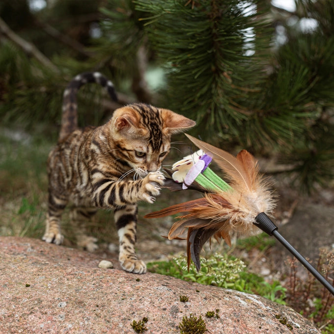 Nature's Protection Kitty Milk Replacer for Kittens for Bone Development & Healthy Growth
