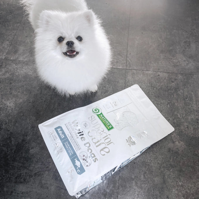 Nature's Protection Superior Care White Dogs Grain Free White Fish Adult Small and Mini Breeds Dog Dry Food