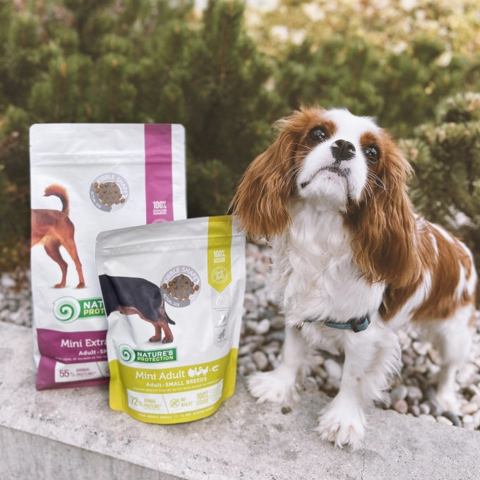 Nature’s Protection Mini Extra Salmon Adult Small breed Dog Dry Food