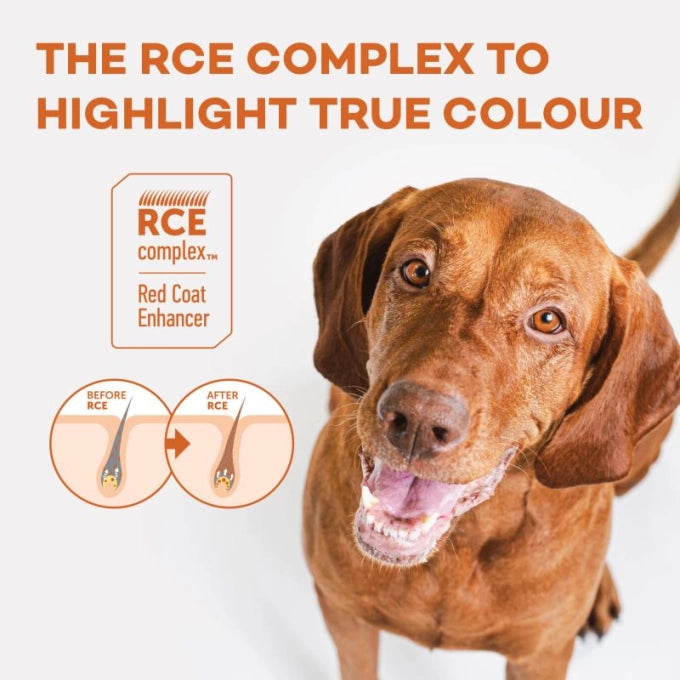 Nature’s Protection Superior Care Red Coat Grain Free Salmon Adult All Breed Dog Dry Food