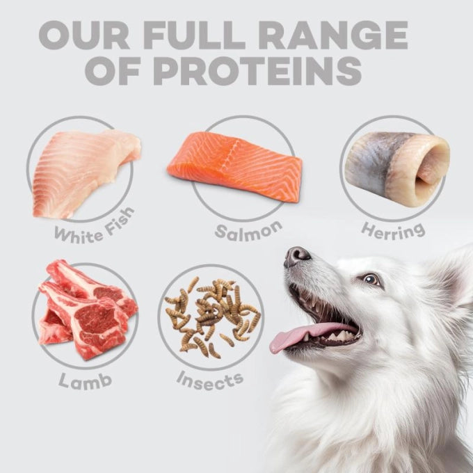 Nature's Protection Superior Care White Dogs Grain Free White Fish Adult Small and Mini Breeds Dog Dry Food