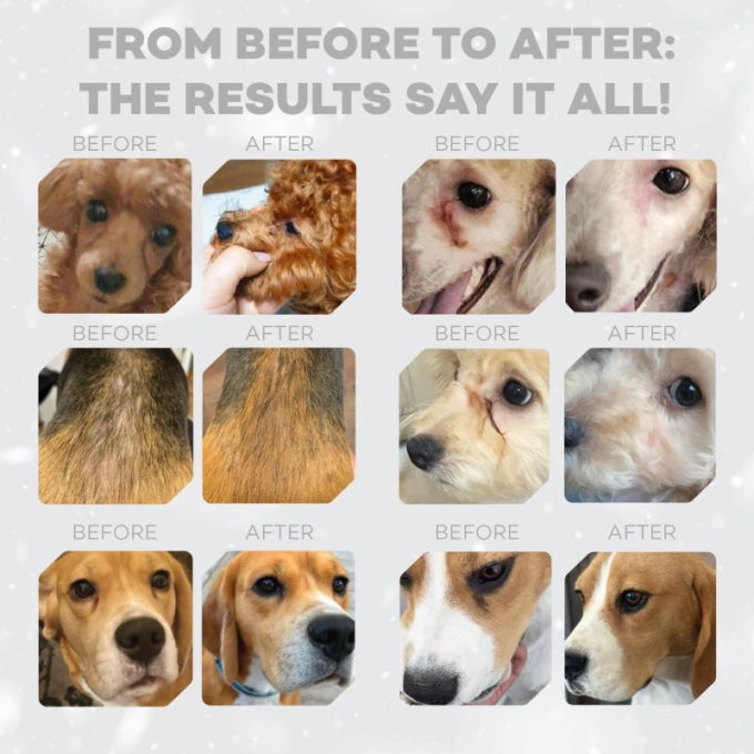 Nature’s Protection Superior Care Red Coat Grain Free Lamb Adult All Breed Dog Dry Food