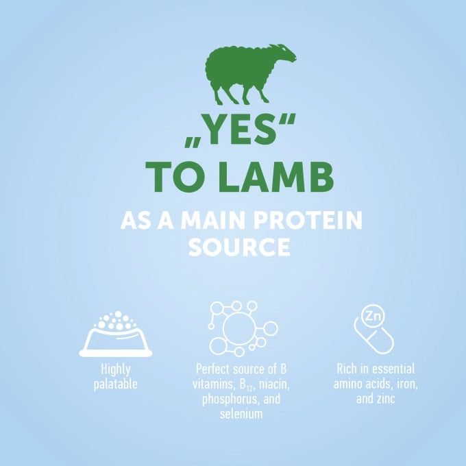 Nature’s Protection Lamb All Breed Junior Dog Dry Food