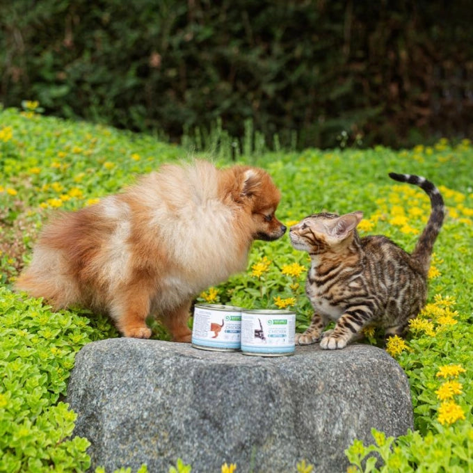 Nature's Protection Mousse Puppy Starter Dog Wet Food