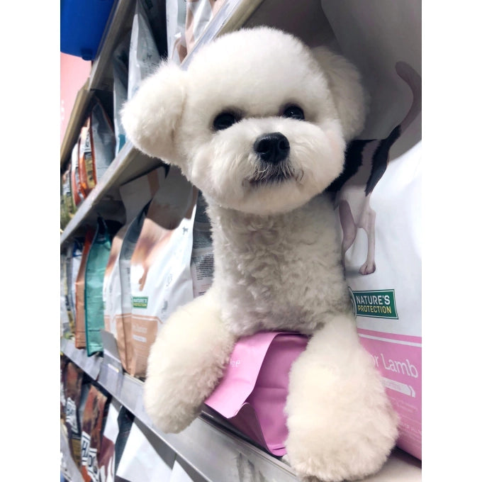 Nature’s Protection Lamb All Breed Junior Dog Dry Food