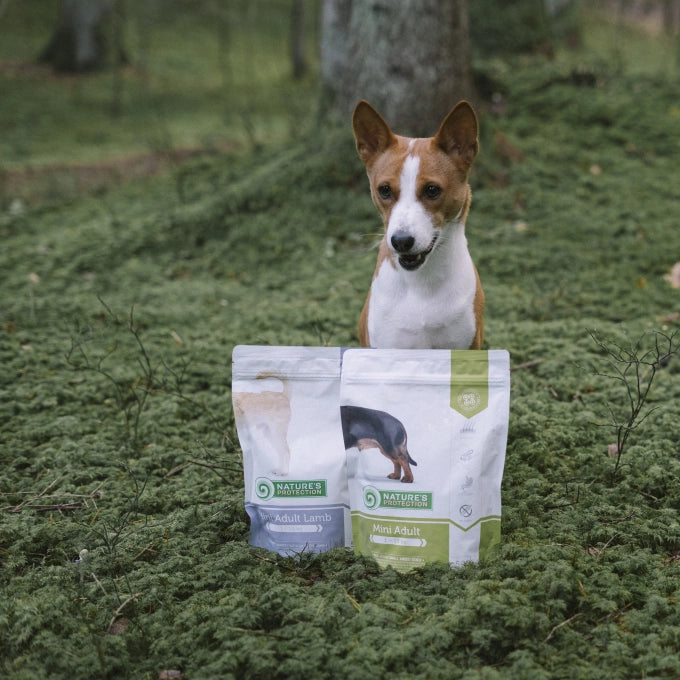 Nature’s Protection Mini Adult Poultry with krill Small Breed Dog Dry Food
