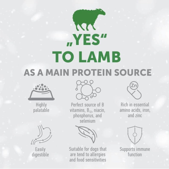 Nature’s Protection Superior Care Red Coat Grain Free Lamb Adult All Breed Dog Dry Food