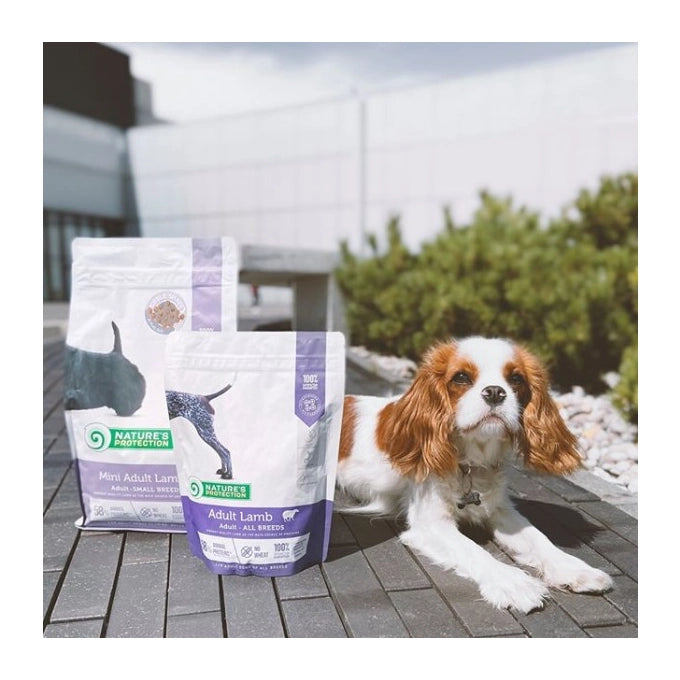 Nature’s Protection Adult All Breed with Lamb Dog Dry Food