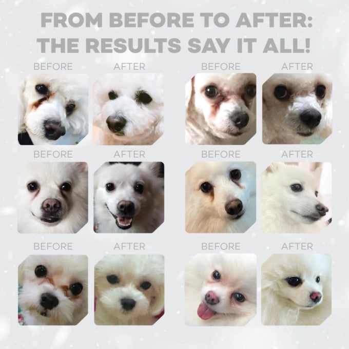 Nature's Protection Superior Care White Dogs Grain Free Salmon Junior All Breeds Dog Dry Food