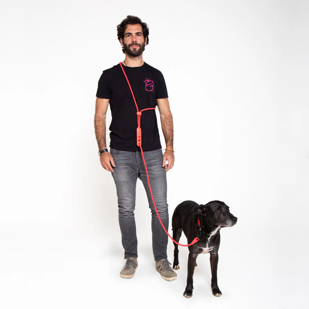 Zee Dog- Handsfree Leash