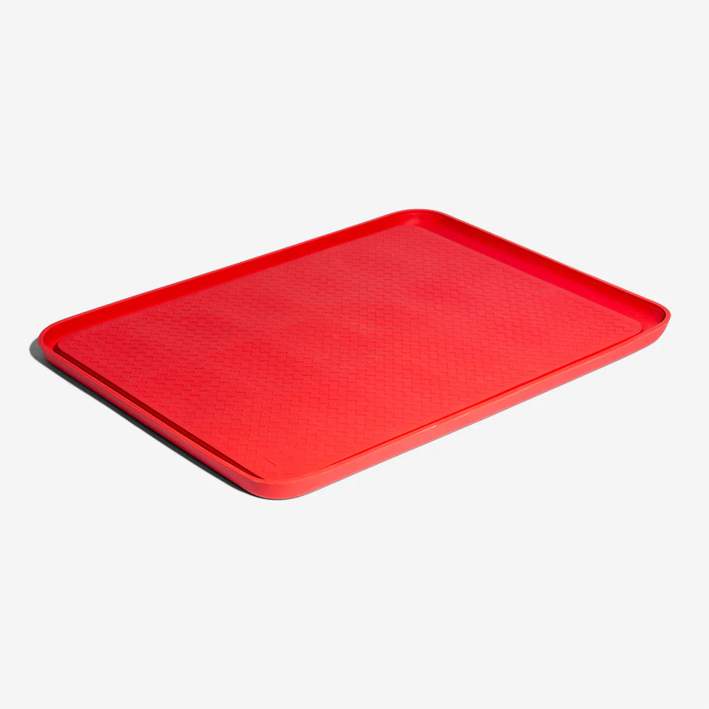 Zee Dog-Zee Mat for Dogs